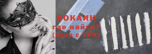 дживик Богородск