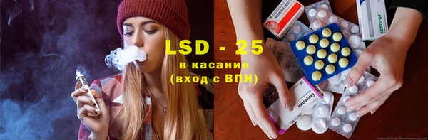 индика Белокуриха