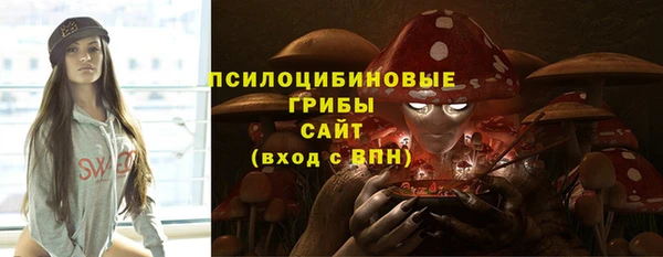 ПСИЛОЦИБИНОВЫЕ ГРИБЫ Беломорск