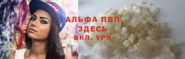 ПСИЛОЦИБИНОВЫЕ ГРИБЫ Беломорск