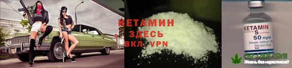 индика Белокуриха