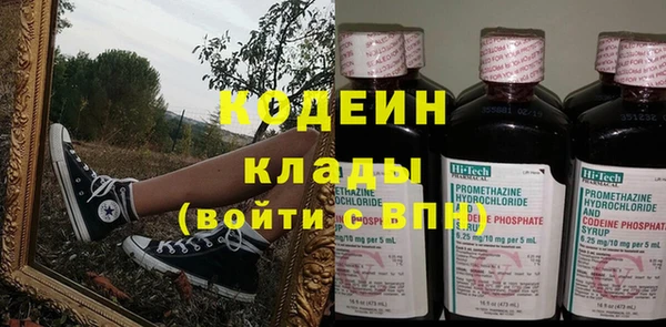 индика Белокуриха
