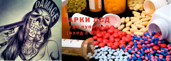 ПСИЛОЦИБИНОВЫЕ ГРИБЫ Беломорск