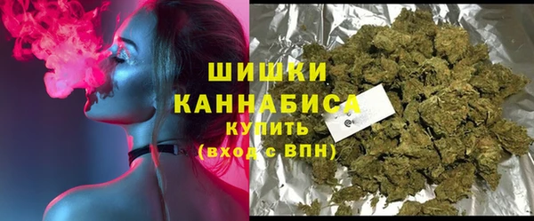дживик Богородск