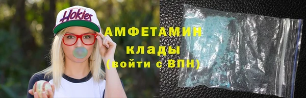 индика Белокуриха